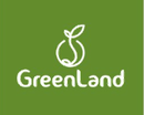 Grupo Greenland